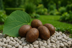 5 St. Rost Oster Eier aus Metall Gartendeko für Ostern und Frühling H5.5cm B4cm - Bild 1 von 3