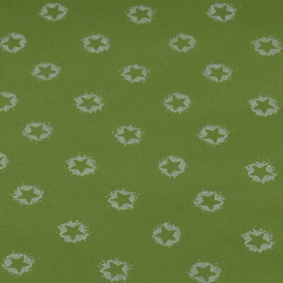 Softshell Sternchen, wind- und wasserabweisend, grün (Stoff ab 0,50m) - Bild 1 von 4