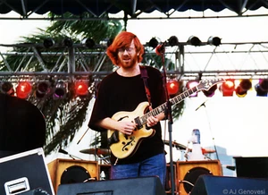 Trey Anastasio - PHISH - 16 x 20 inch Photo /  Poster - Palm Trey II - 04/28/94 - Picture 1 of 1