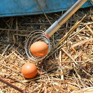 Egg Grabber Nut Gatherer Peanut Picker Stainless Steel Lightweight Picking Tool - Picture 1 of 8