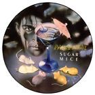Marillion - Sugar Mice, 12", (Vinyl)