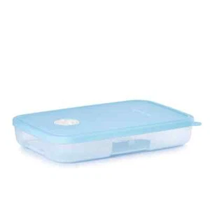 Nuevo Tupperware Date Store & Freeze 600 ml almacenamiento congelador - Imagen 1 de 1