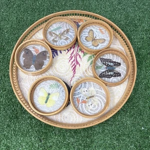 7 Piece Bamboo Pressed Butterfly Tray & Coaster Set 1970s Vintage Retro Bohemian - Picture 1 of 15