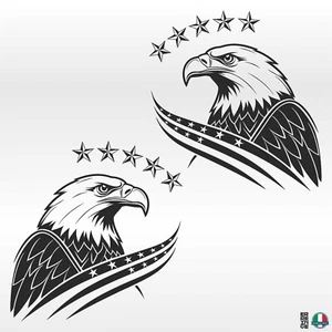 2 Sticker Adesivi AQUILA USA AMERICA ESERCITO Auto Camper Pickup Jeep 4X4 Cofano - Imagen 1 de 20