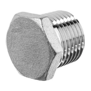 Hex Head Plug 1" Class 150, 304 Stainless Steel Threaded Pipe Fitting - Picture 1 of 8