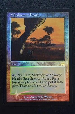 Magic The Gathering MTG WINDSWEPT HEATH FOIL #3 Onslaught LP Lightly Played - Image 1 of 2