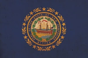 Vintage New Hampshire Flagge auf Leinwand, New Hampshire Flagge, Wandkunst, New Hampshi - Bild 1 von 6
