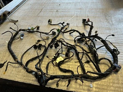 Arnés de cableado de tablero Ford F150 XLT 2011-2014 3,5 automático 4x4 BL3T14401KAF Foto 1 de 4