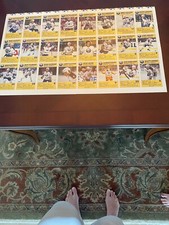 1989-90 Buffalo Sabres Blue Shield Complete Set of 24 Postcards  UNCUT Sheet NMT