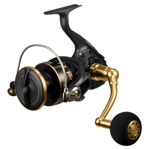 Daiwa 23 BG SW 8000-H (2023 Model) Spinning Reel Ship from Japan New - Picture 1 of 6