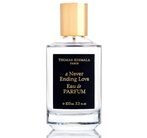 Thomas Kosmala A Never Ending Love Eau de Parfum 100ml Perfume Fragranceš„ - Picture 1 of 3