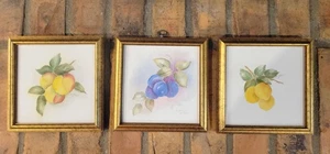 De colección Pintado a Mano Fruta Enmarcado #Melocotones, Ciruelas y Limones por Kathryn McGhee 7x7 pulgadas - Imagen 1 de 21