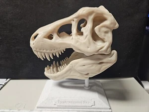 T Rex Skull Statue  - Picture 1 of 2