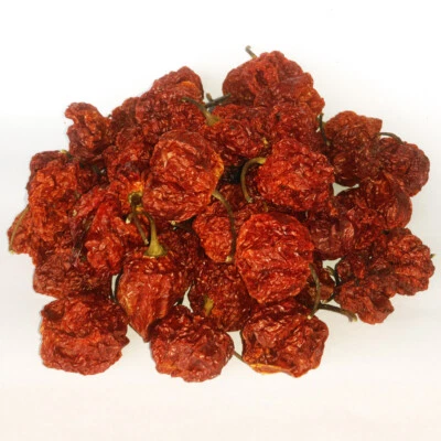 MAGIC PLANT FARMS 7 Pot Brain Strain Dried Pods - Premium Quality Chili, Amazing Taste! VERY HOT!