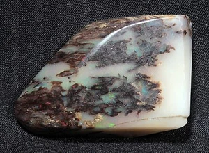 Precious Stable Opal Wood from Virgin Valley Nevada - 63.9 ct - opalized - Picture 1 of 5