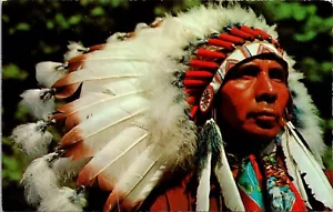 Indian Chief with Headdress Postcard - Picture 1 of 2