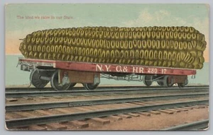 Stonehill Missouri Cancel~Kind We Raise: Exaggerated Corn on RR Flatbed~c1910 - Picture 1 of 2