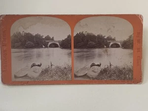 CENTRAL PARK William Chase Stereoview NEW YORK CITY Stereoview Rock Bridge - Picture 1 of 5