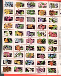 2647-96 Wildflowers POST OFFICE FRESH / BRIGHT & Ready to Pot P# P1111 - Picture 1 of 1