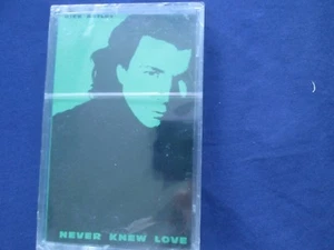 Rick Astley – Never Knew Love RCA PK 44737 Tape Cassette Single New Sealed - Picture 1 of 3