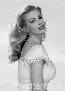 Classic Anita Ekberg 8x10 Reprint – Hollywood Actress Publicity Photograph - Picture 1 of 1