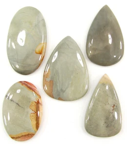 Lote de 5 piezas de cabujón de piedras preciosas policromadas naturales de 272,00 quilates de jaspe 39-45 mm - 62820 - Imagen 1 de 5