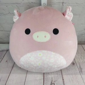 Squishmallows Peter the Floral Belly Pig 8" Plush 2023 Stuffed Kellytoy - Picture 1 of 5