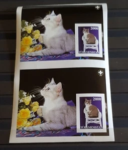TURKMENISTAN SCOUTING CATS MINIATURE SHEET IMPERFORED MNH - Picture 1 of 1