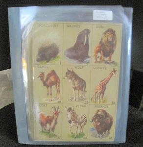 VINTAGE& RARE UN-CUT SHEETS 1932 ANIMAL CARDS R-15-2 COMPLETE SET EX CONDITION - Picture 1 of 6