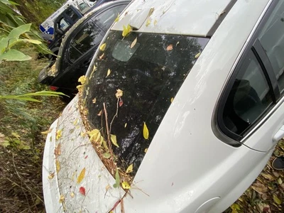 Used Rear Back Glass fits: 2008 Pontiac G8 Rear Grade A Foto 1 de 4