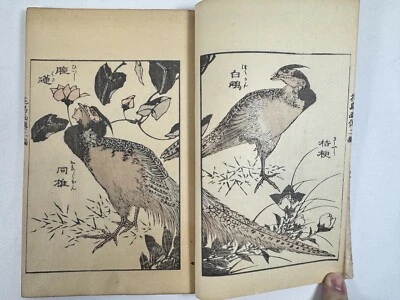Japanese Woodblock Print Book “Kachogaden vol.2” Katsushika Hokusai 1912 - Image 1 of 4