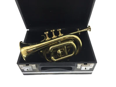 Tromba trombino in ottone con astuccio da arredamento casa sala salotto arte - Immagine 1 di 4