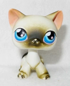 LITTLEST PET SHOP PETSHOP LPS #05 HASBRO CAT CHAT EUROPEEN GRIS BLANC YEUX BLEU - Imagen 1 de 5