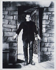 8x10 Qualität Nachdruck Foto Boris Karloff Als Die Frankenstein Monster