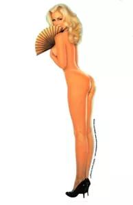 Sabrina classico pinUp ragazza adesivo cassetta degli attrezzi decalcomania opera d'arte di Carlos Cartagena - Foto 1 di 1