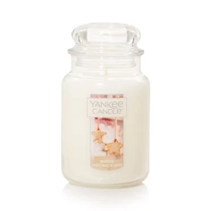 Munich Christmas Market Yankee Candle Large Jar 22oz 623g NEW CHRISTMAS 2024 - Picture 1 of 3
