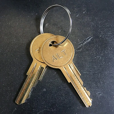 ILCO (2) Altronix Key Power Supply Alarm Access Control Enclosure Cabinet Keys