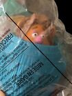 Fozzie Bear Muppets Treasure Island Vtg 90S 1995 Mcdonalds Happy Meal Tub Toy #4