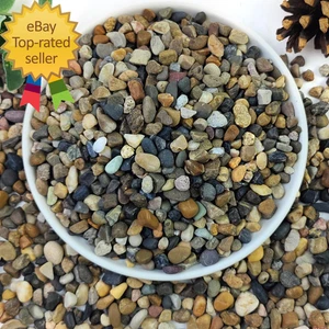 20Lbs Natural River Rocks 1/4" Aquarium Gravel Small Rocks for Plants Pea Grave - Picture 1 of 4