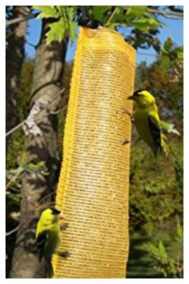 SongBird Essentials CALCETÍN PELLIZCO CARDO MÁGICO DORADO SE636 PARA CARDO NYJER 11" Foto 1 de 3