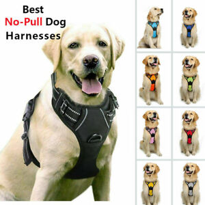 Rabbitgoo Pet Dog Harness No-Pull with 2 Leash Clips Adjustable Vest Reflective