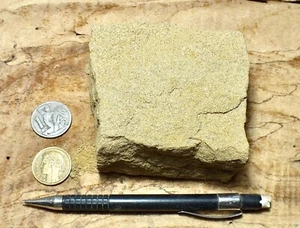 sandstone - medium grained yellow-brown sandstone - hand/display specimen - Picture 1 of 11