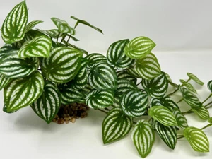 XL 18" long WATERMELON Trailing vine silk Aquarium Plant, Stone Base - Picture 1 of 7