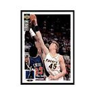 1994 Upper Deck Collector's Choice Rik Smits Pacers #45