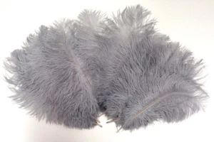 Gray Mini Ostrich Feathers 5-8 Inch per 24 - Picture 1 of 1