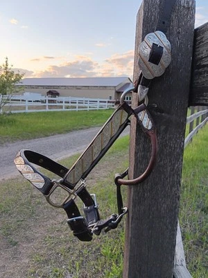 Halter Kathy's Show Foto 1 de 4