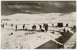 Verladen von Eis auf Eisenbahnwaggons in Humphrey, Idaho - Postkarte um 1908 - Bild 1 von 2