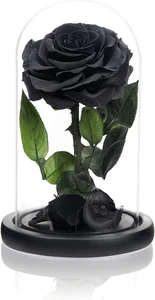NATROSES Handmade Preserved Roses in Glass Dome, Black Roses Roses, Preserved Fl - Picture 1 of 12