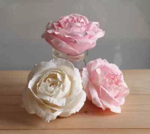 8 Eden Rose Sola Wood Flower Diffuser Flowers 8 cm Dia. For Decorate Craft - Picture 1 of 8