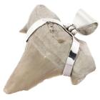 Big Fossil Tiger Shark Tooth Sterling Silver Pendant, 1 5/8"